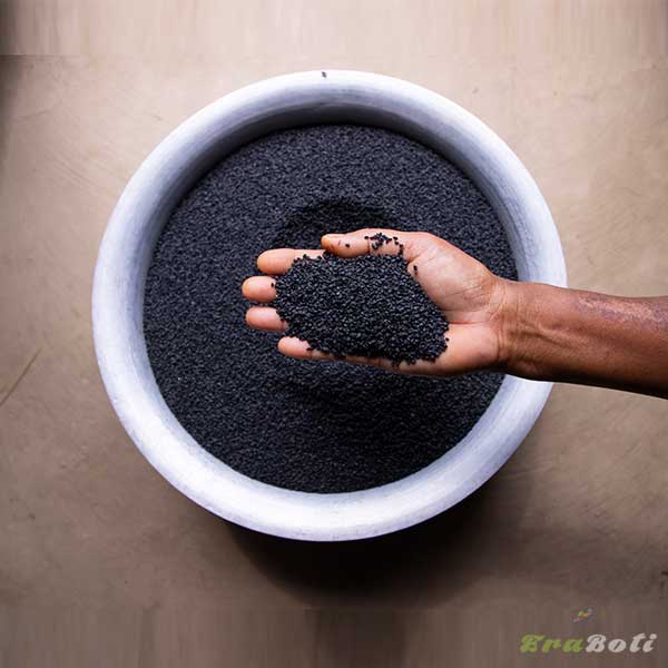 Black Cumin / Black Seed / Kalo Jira (কালো জিরা) – from Dinajpur Black Cumin / Black Seed / Kalo Jira (কালো জিরা) – from Dinajpur